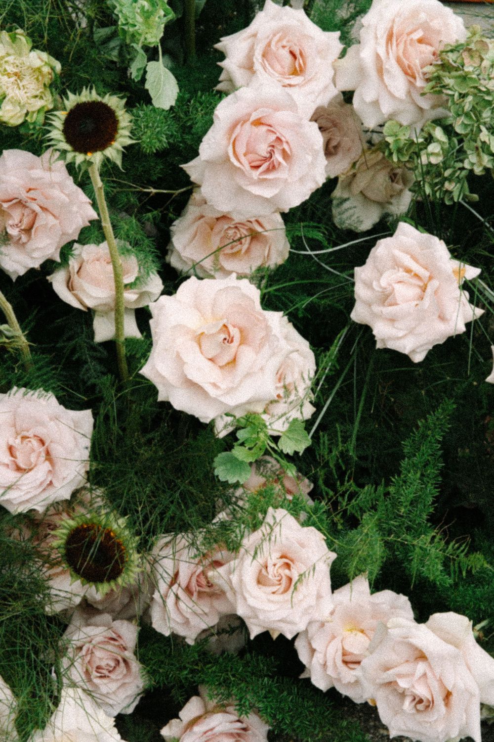 Lush arrangement of soft pink roses and green foliage with dark sunflowers, perfect for weddings or events.