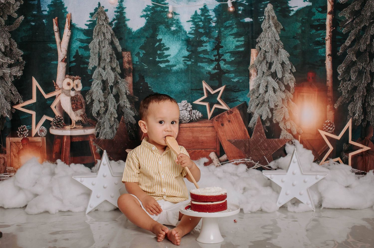 A series of holiday photos showing a baby sitting in a festive winter wonderland setting with evergreen trees and stars.