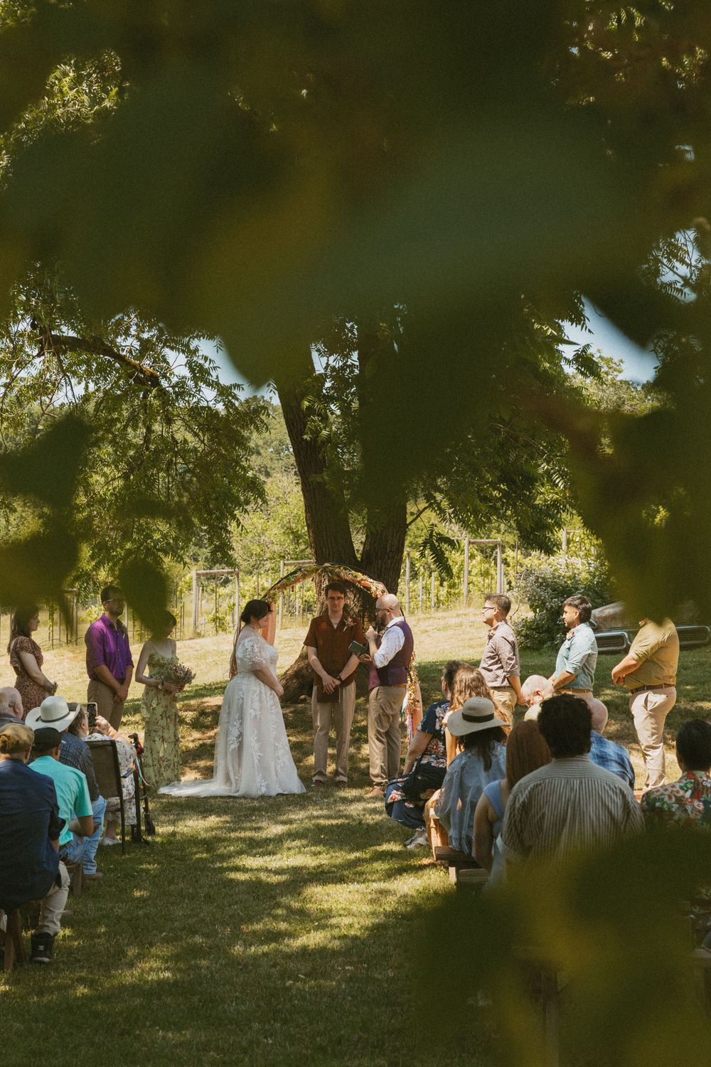 An outdoor wedding ceremony takes place under a large tree on a sunny day with guests seated on chairs in a grassy area.