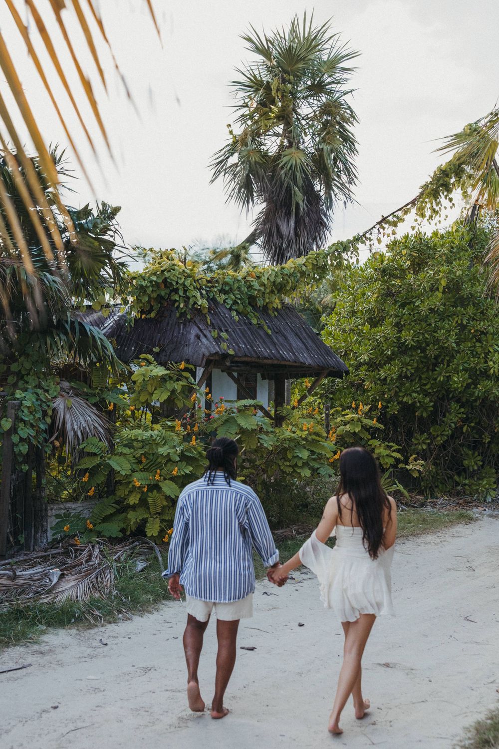 Couple walking on a sandy beach path lined with palm trees and tropical vegetation in a tropical setting, moments before their Holbox shoot.