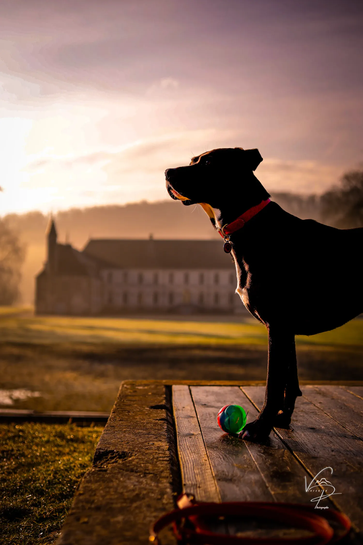 A black cat silhouetted against a sunset sky plays with a small green ball on a wooden surface.