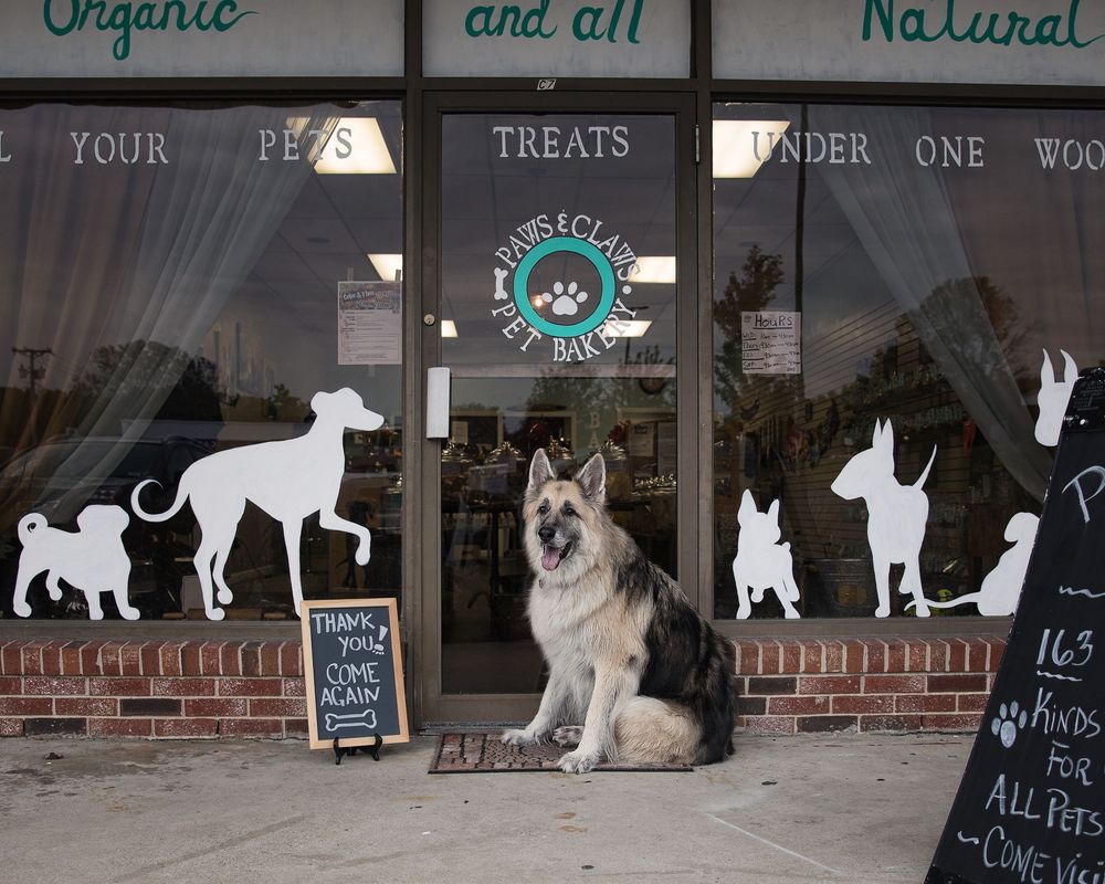 Pet store window display featuring white dog silhouette decals and a large fluffy dog sitting in the storefront.