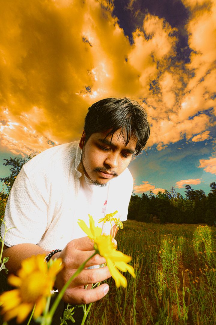 A person smells a yellow daffodil flower in a field at sunset with dramatic orange clouds in the sky.
