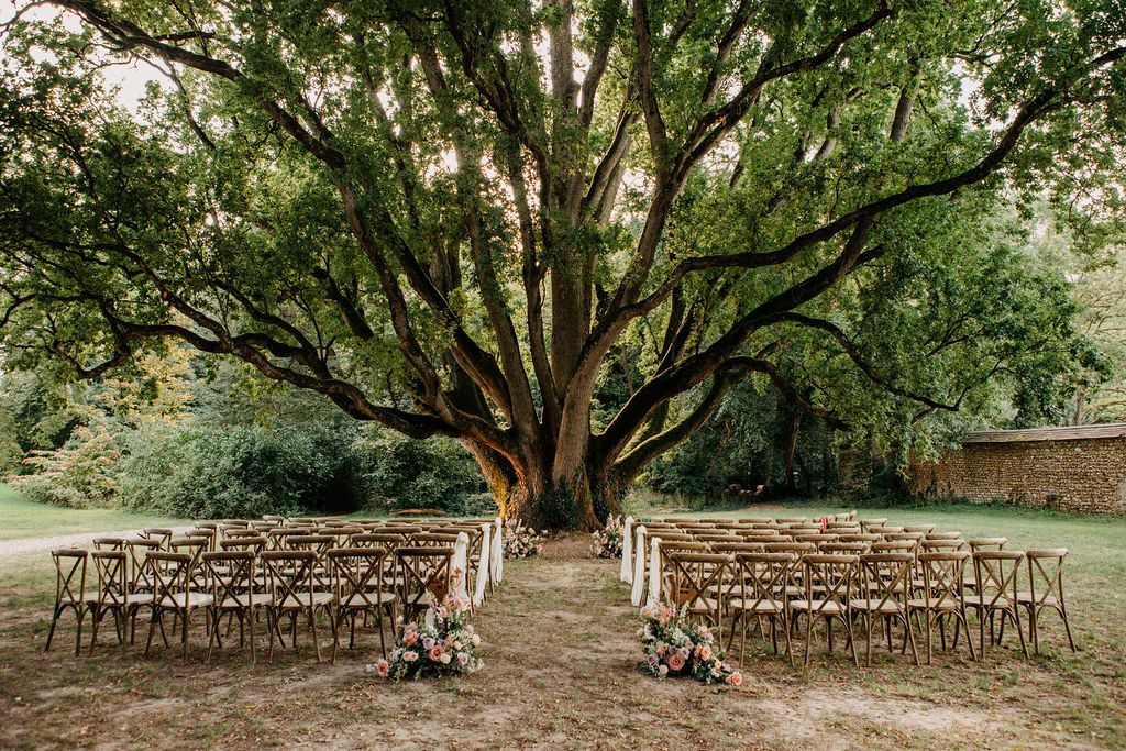 Rows of wooden cross-back chairs set beneath a grand tree for an outdoor wedding ceremony.