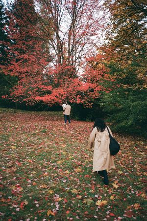 A person in a beige coat walks through a scenic autumn landscape with red maple leaves scattered on the ground.