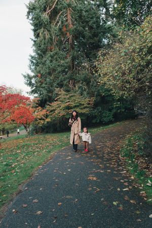 People walking along a winding autumn path with fallen leaves and evergreen trees in a peaceful park setting.