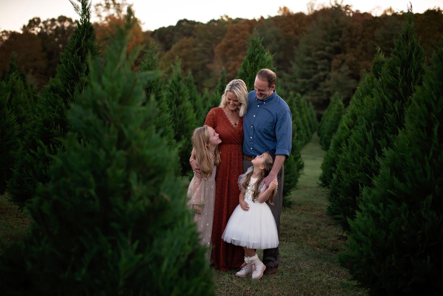 A romantic couple strolls through rows of evergreen Christmas trees at a tree farm during sunset.
