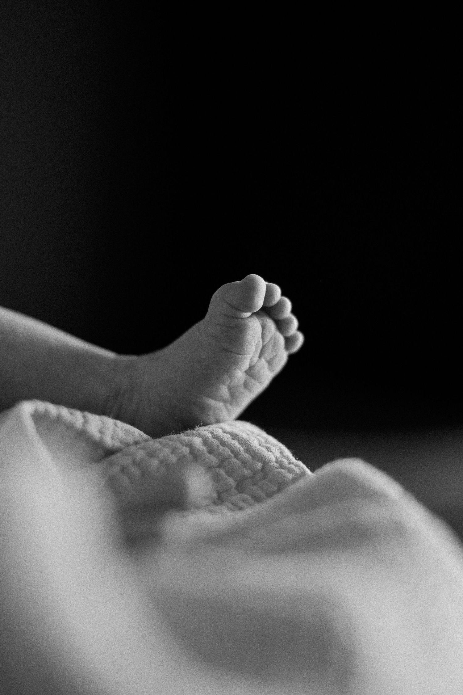 A series of black and white close-up photographs showing a baby's tiny feet in soft focus against a dark background.