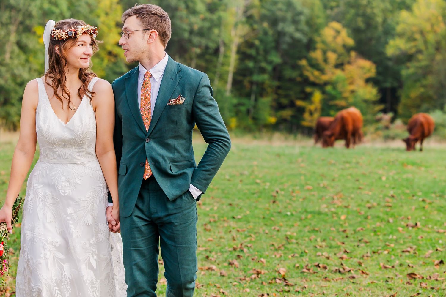 Couple in wedding attire walks together in a green field with rustic brown cows grazing in the background.