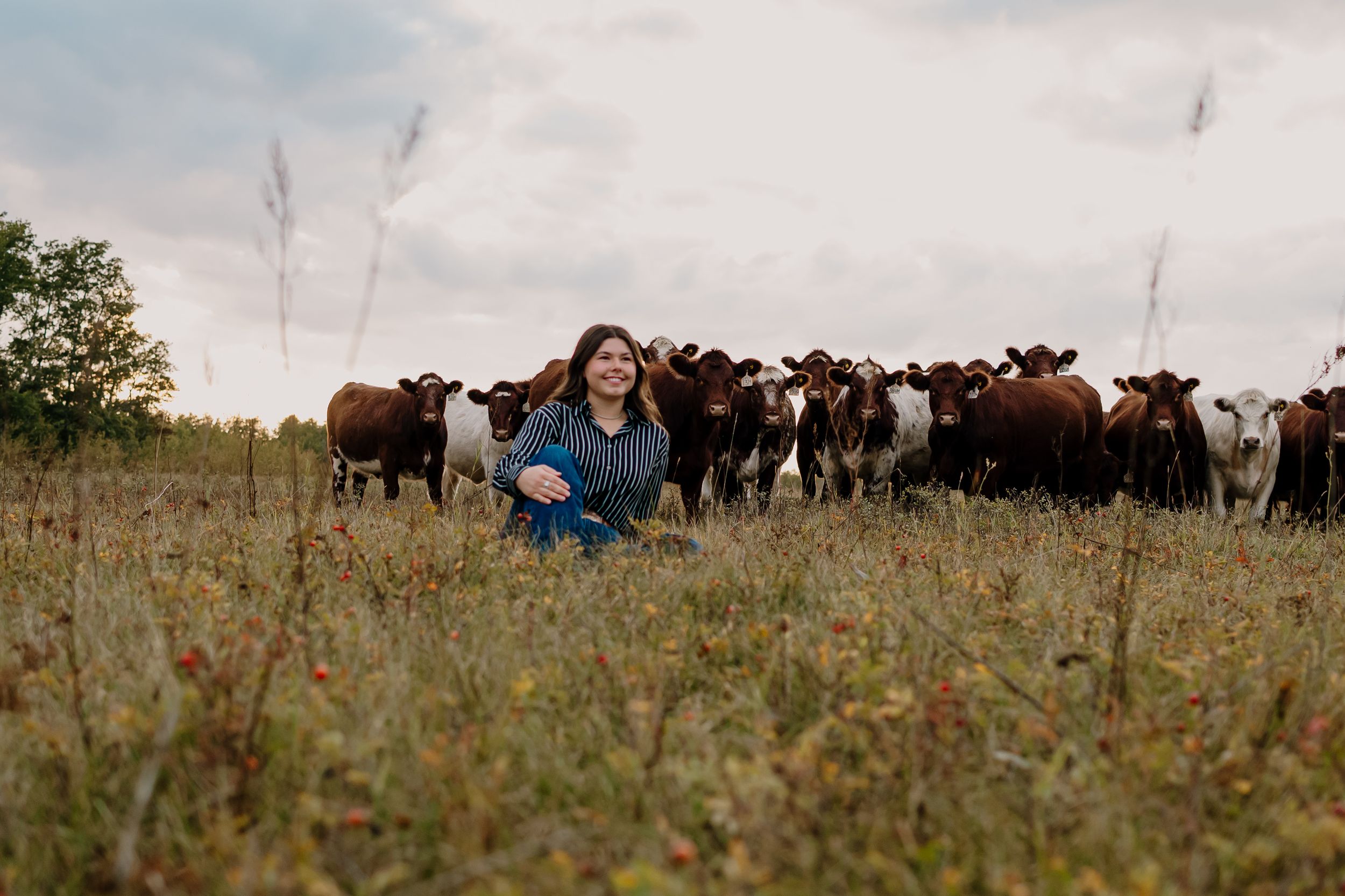 Someone sits in a grassy meadow while a herd of curious cows gathers behind them in the distance.