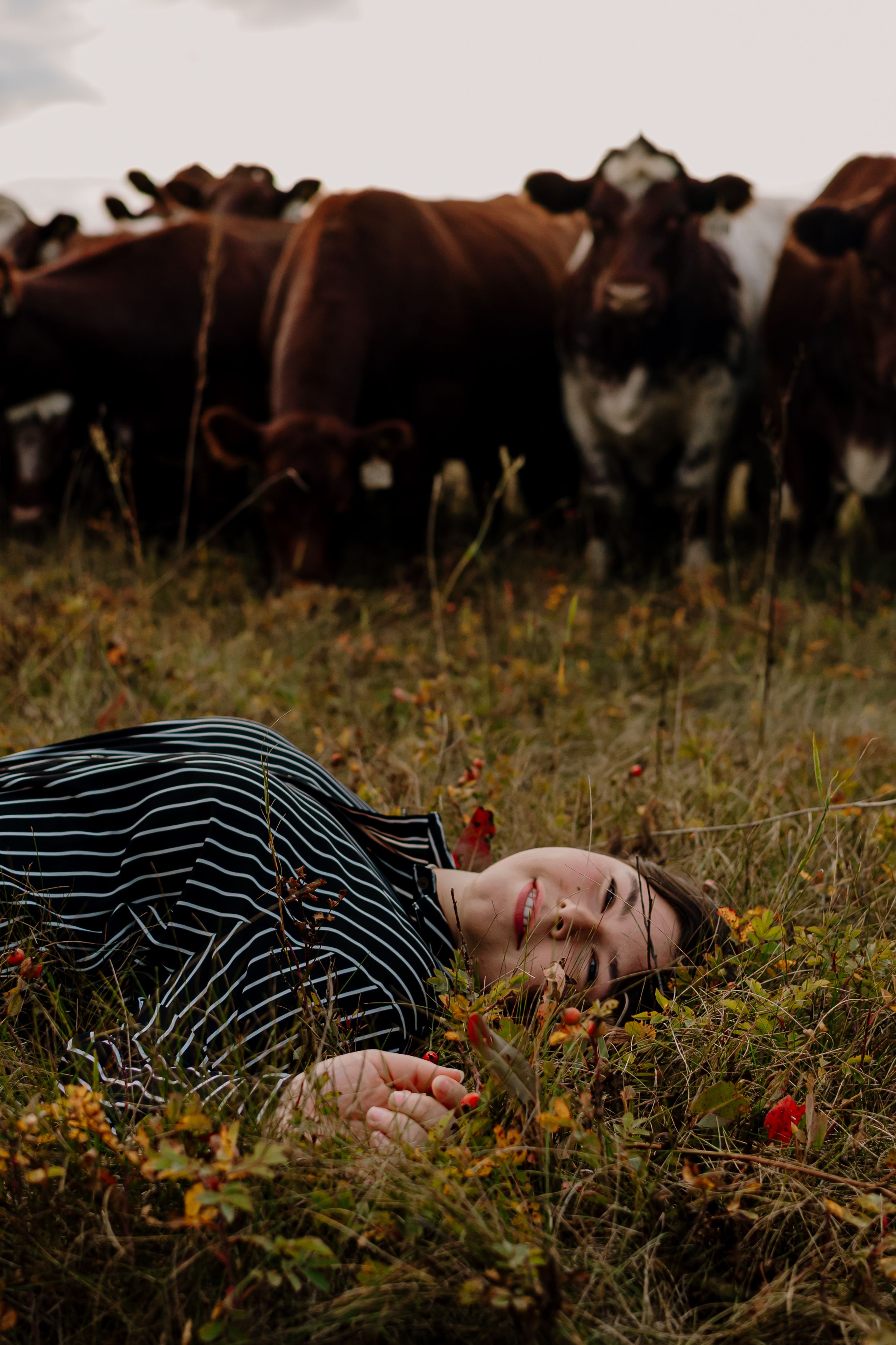 A person in a striped shirt lies in a field of wildflowers with cattle grazing in the background.