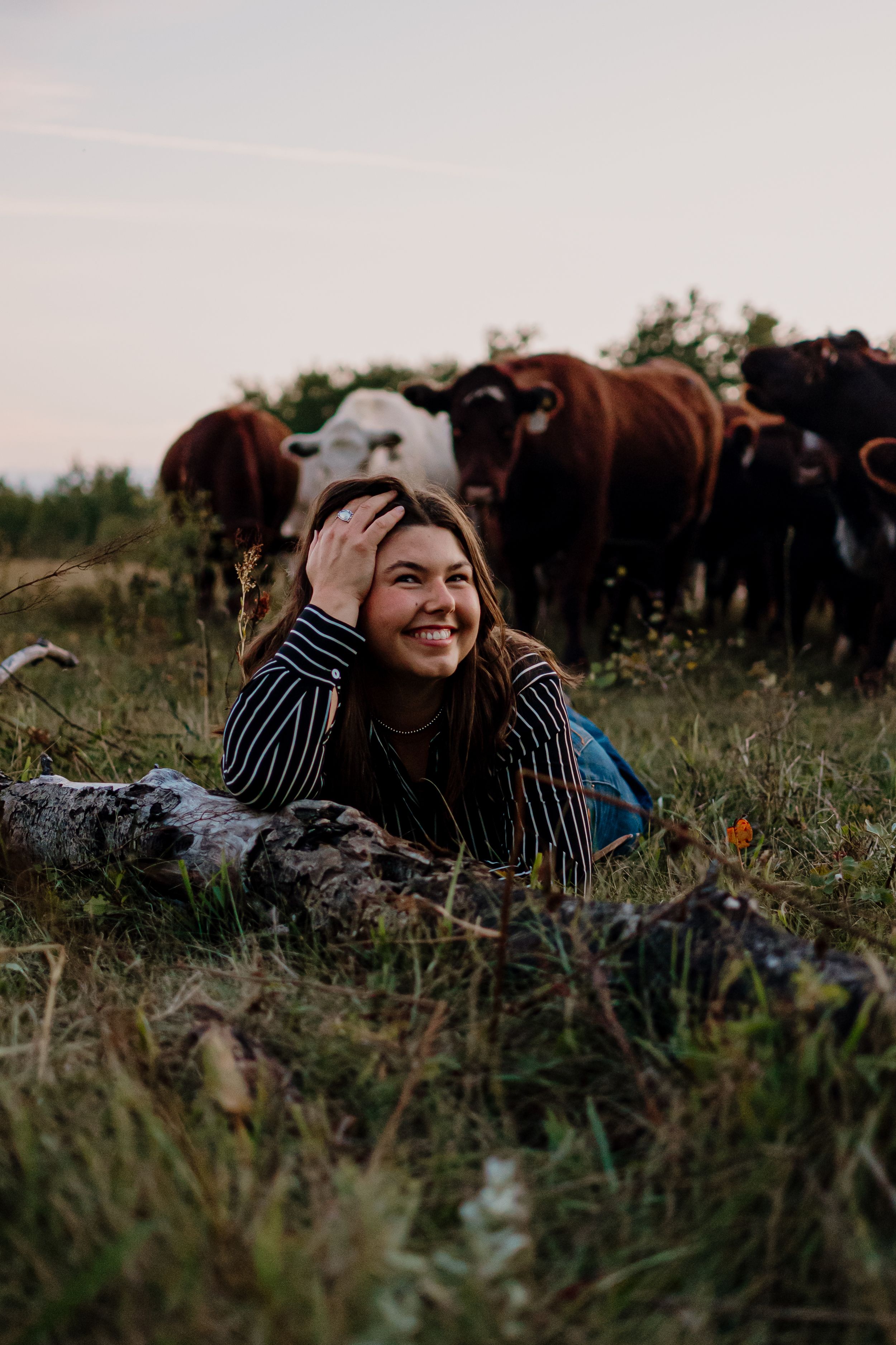 Someone lying in a grassy field wearing a striped shirt with cattle grazing in the distance.