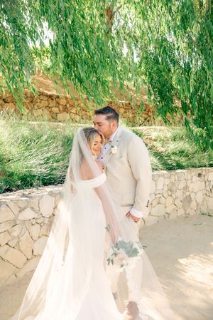 Romantic wedding couple portraits in elegant attire against natural stone and willow backdrop.