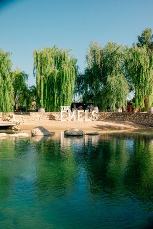 Tranquil waterfront scene with weeping willow trees reflecting in calm turquoise waters on a sunny day.