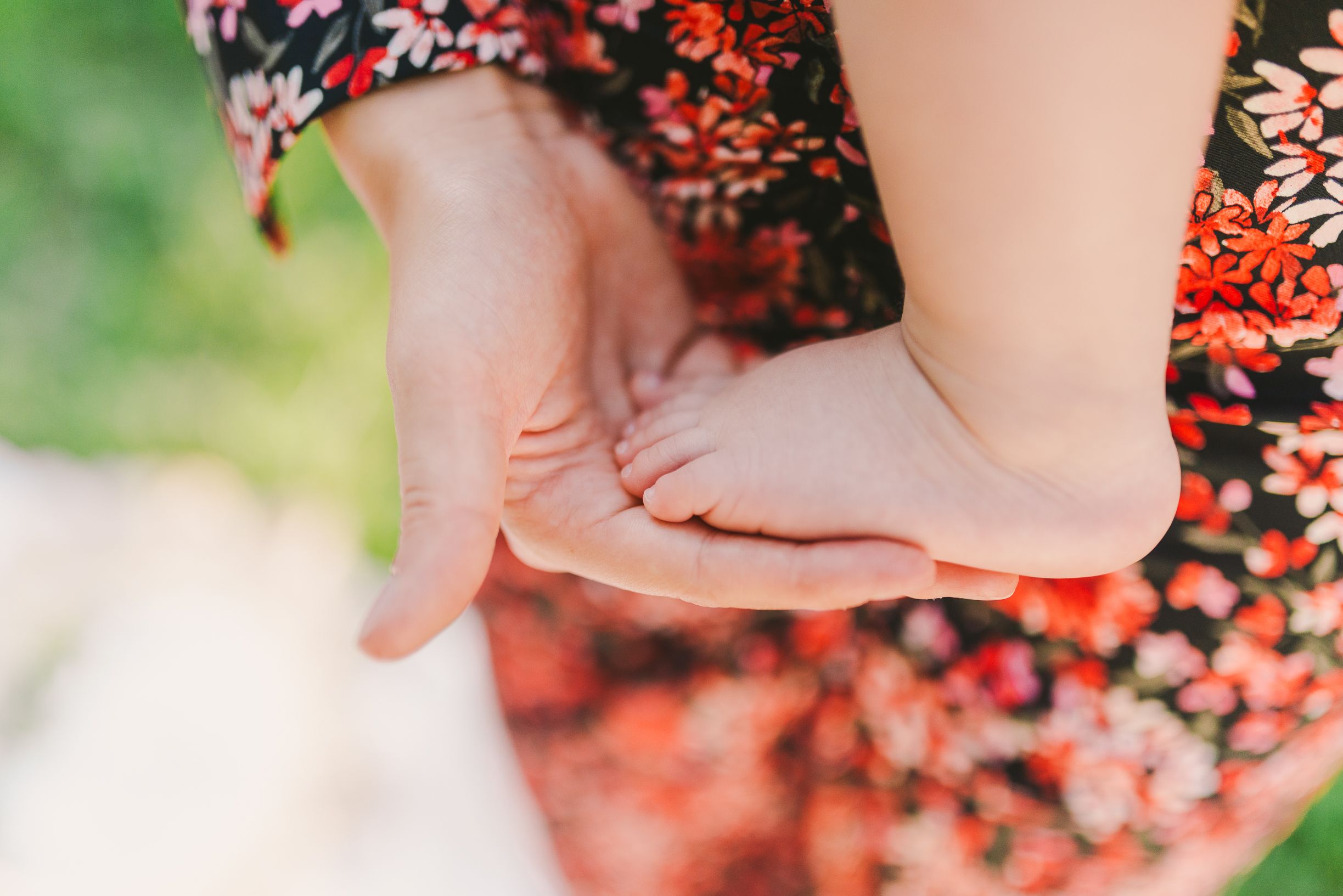 Close-up detail shots of hands and flowers in an outdoor setting.