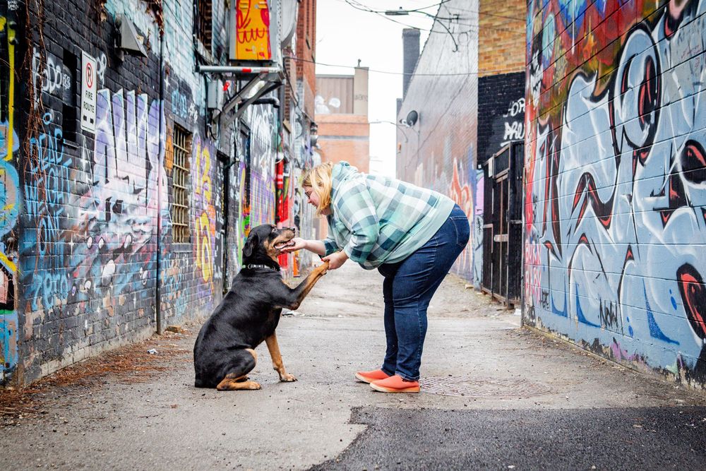 Dog Photography