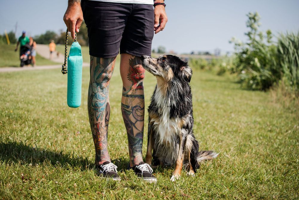 Dog Photography