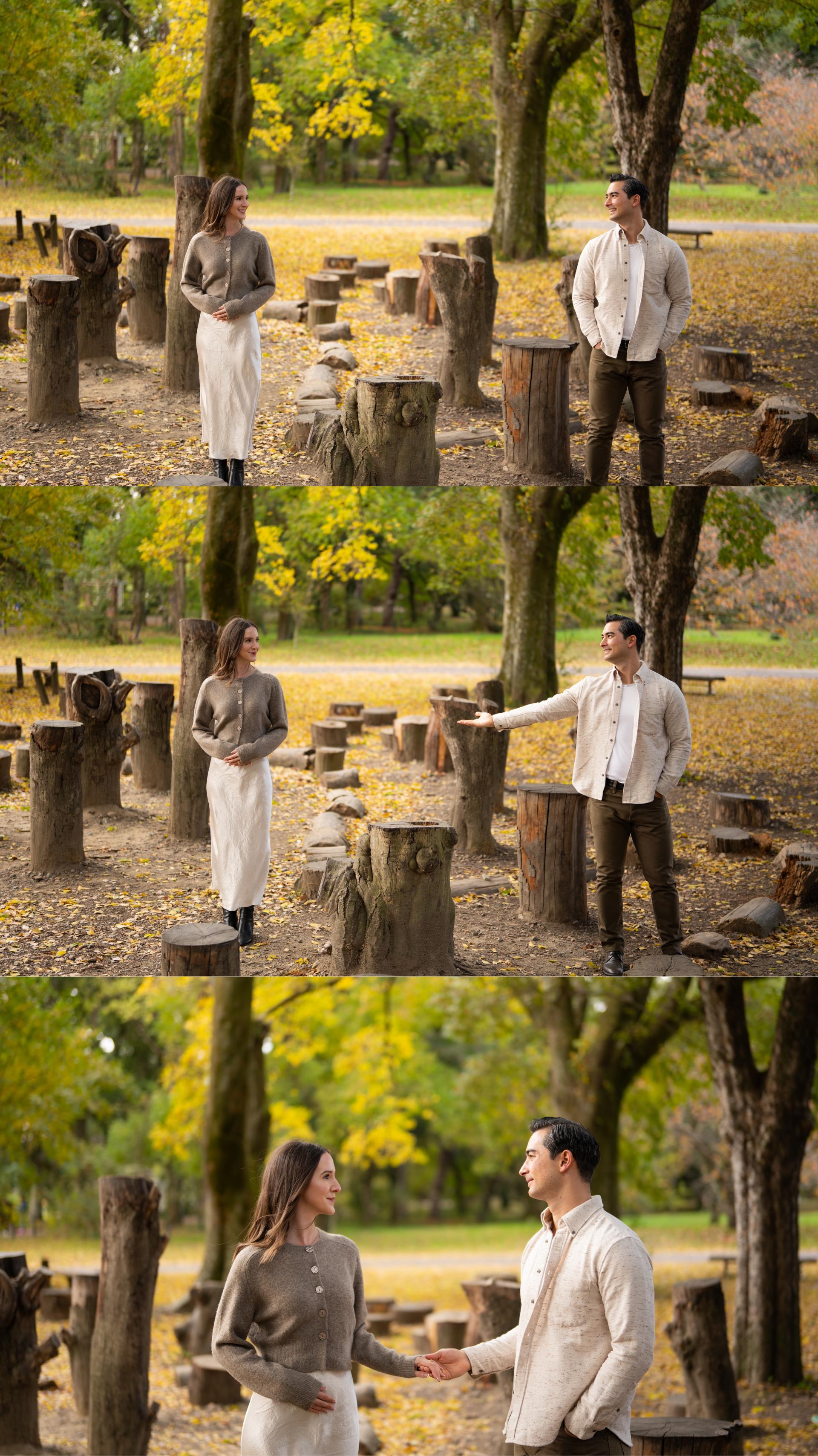 Couple reaching toward each other among tree stumps in a golden autumn forest in three-panel sequence.