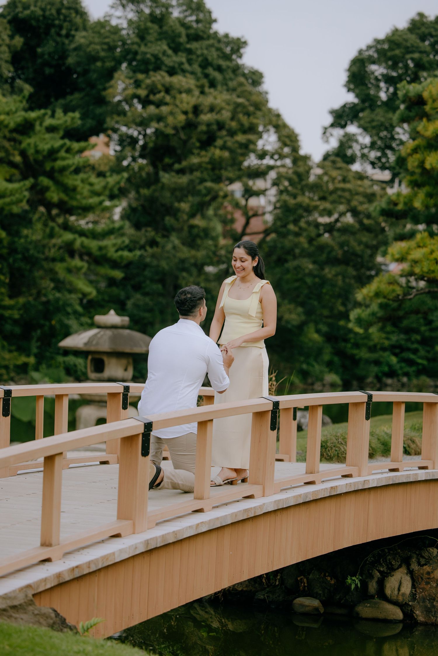 Proposal at wooden bridge surrounded by lush green trees in a peaceful garden setting at Shinjuku Gyoen National Garden