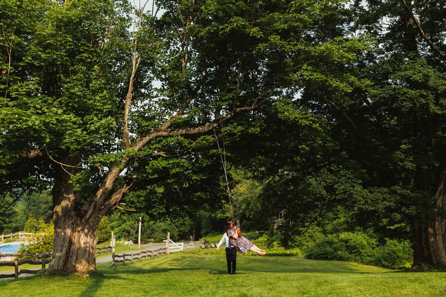 Lush green trees and grass create a natural outdoor setting with wooden fencing in a park-like environment.