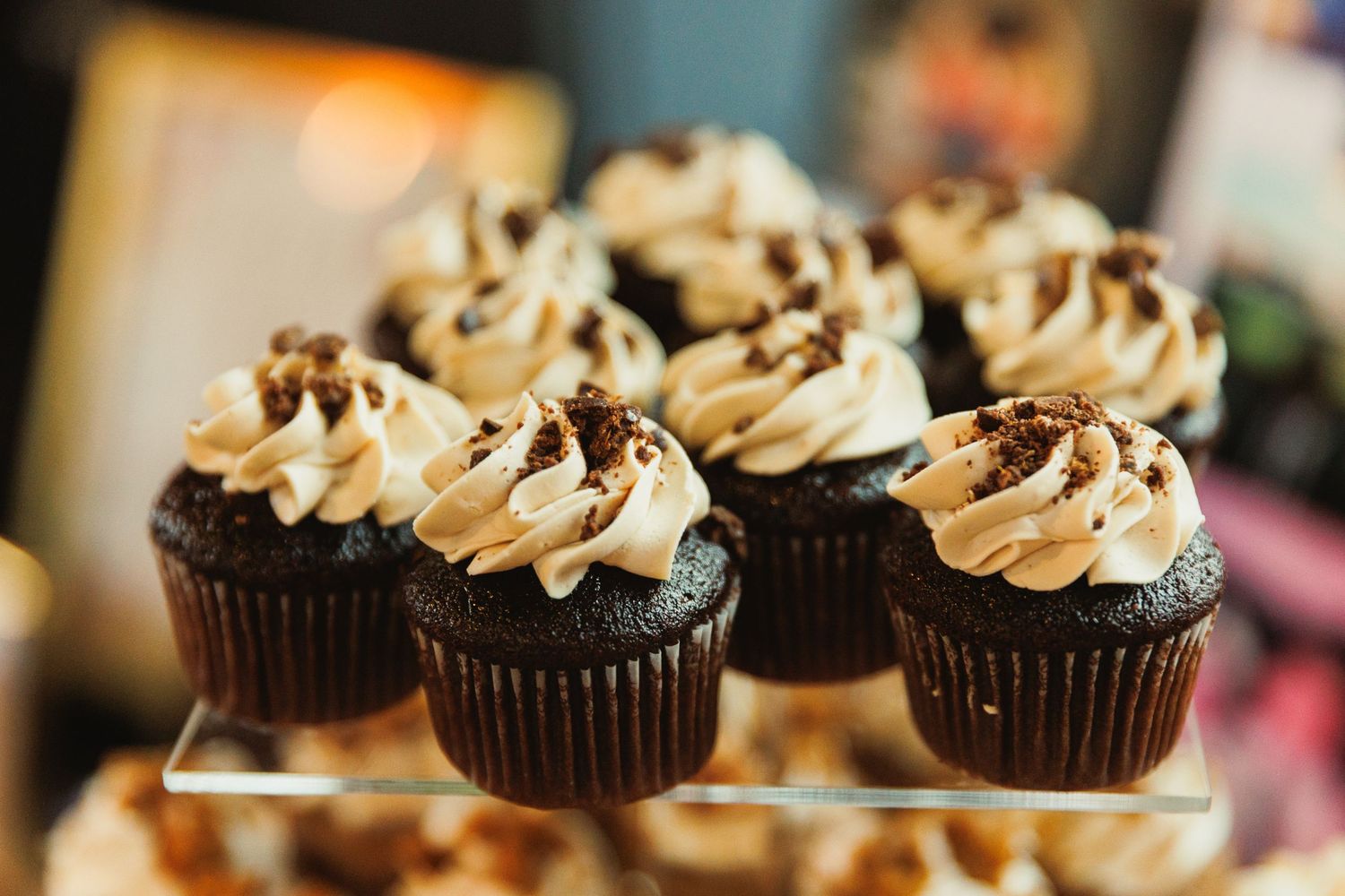Close-up of chocolate cupcakes with swirled vanilla frosting and chocolate sprinkles.