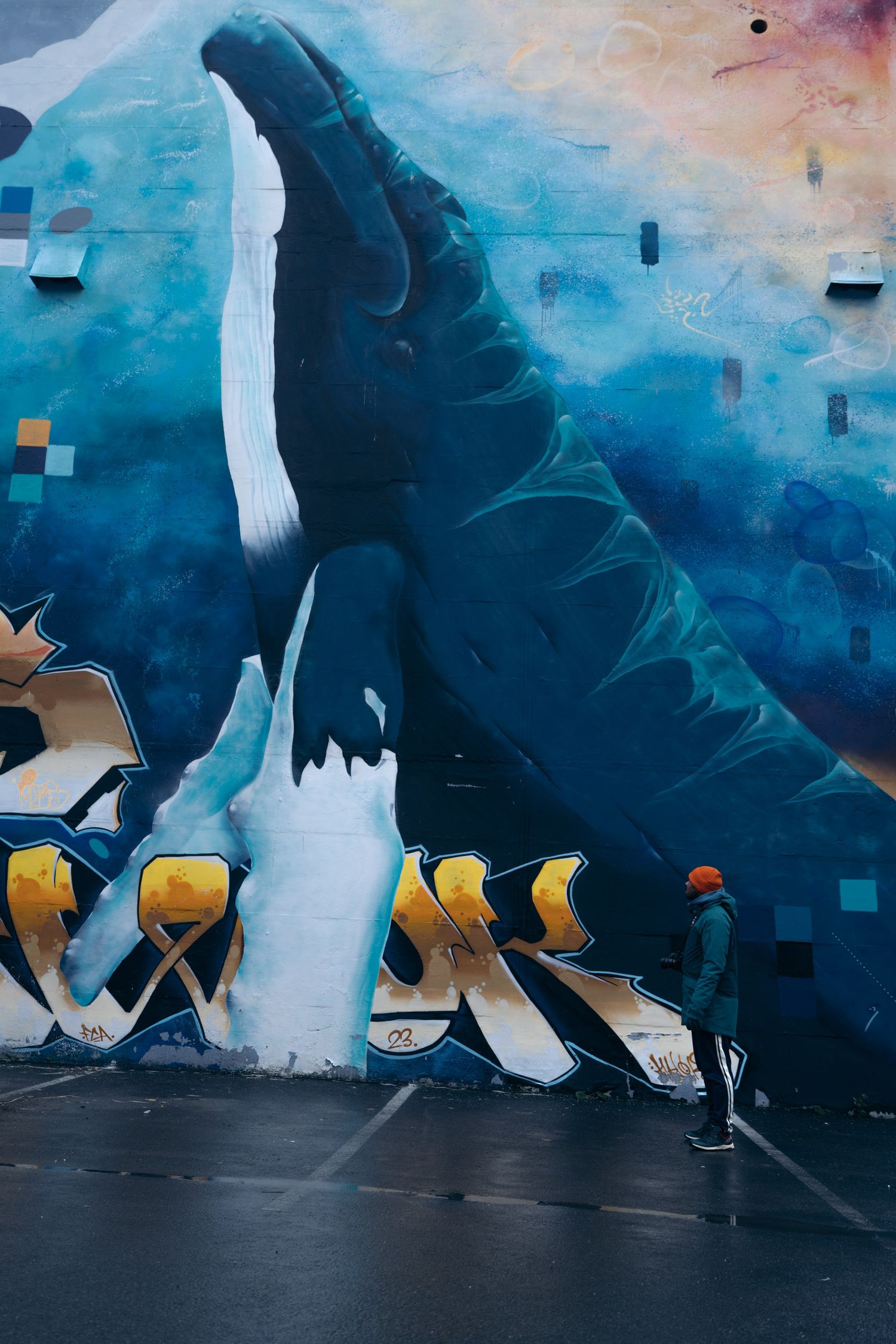 baleine street-art centre-ville tromso en hiver