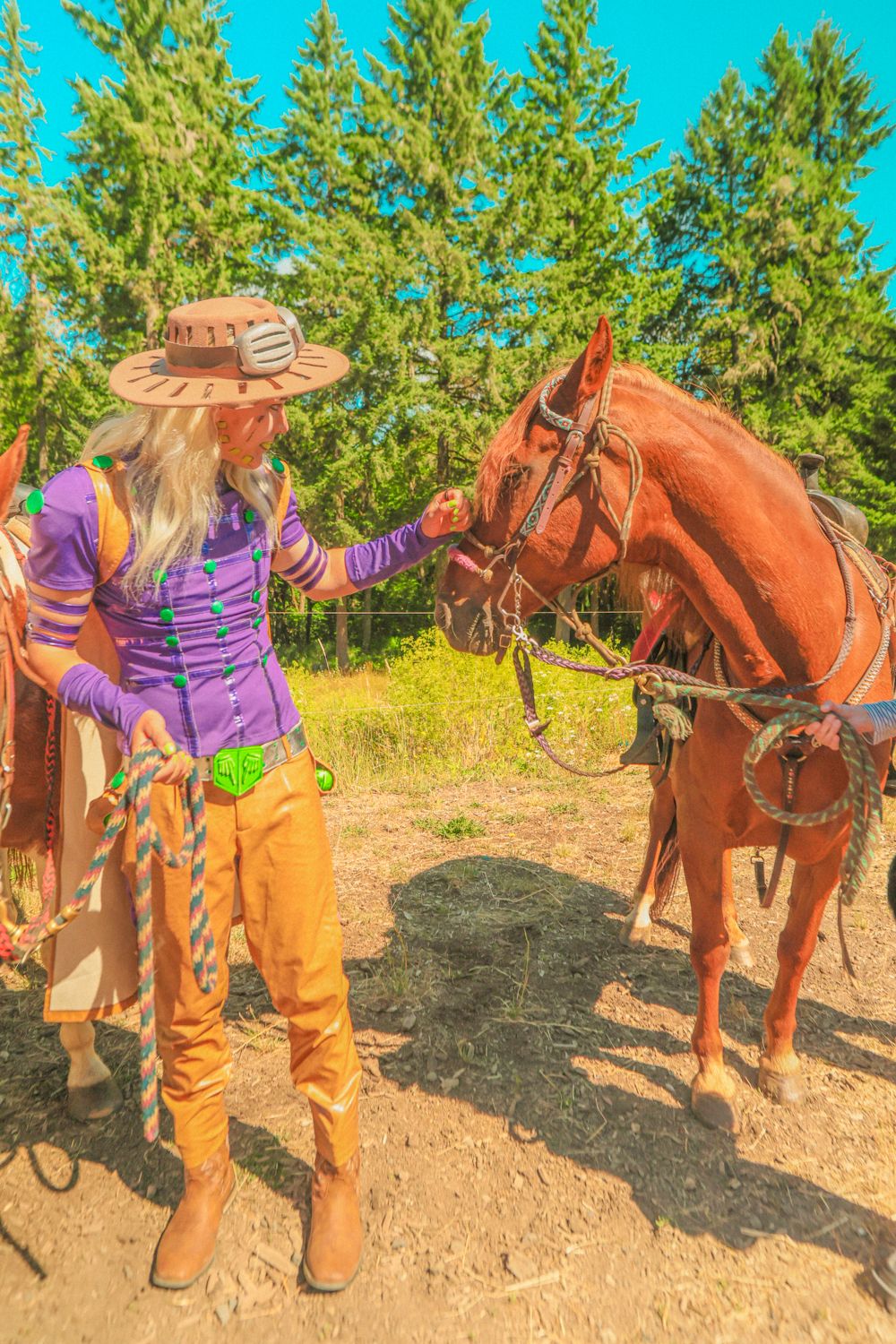 A series of images showing someone preparing and adjusting a saddle on a brown horse on a dirt trail near evergreen trees.