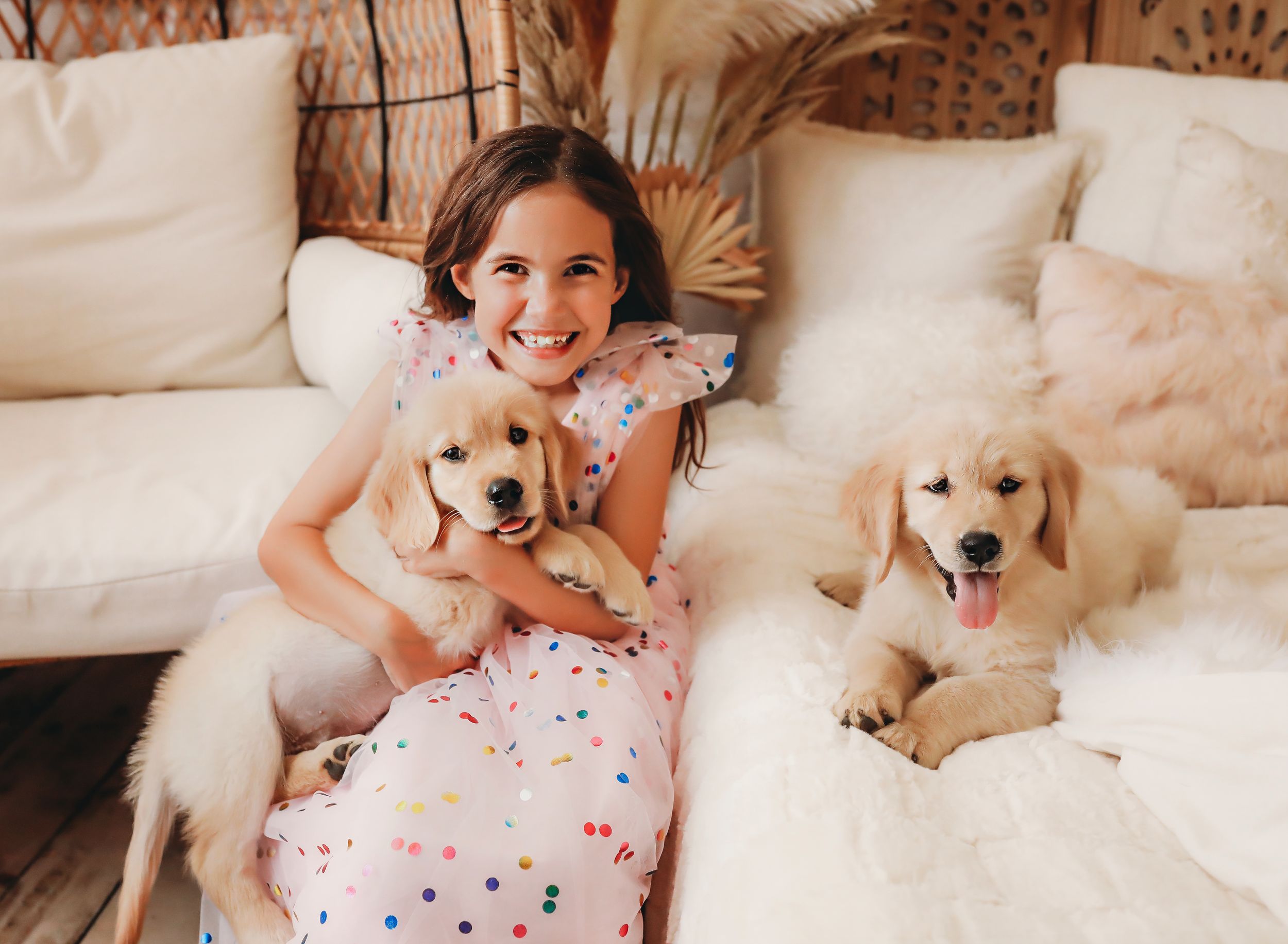 Child on couch with two puppies smiling up at camera

Best child photographer, Peoria, IL.