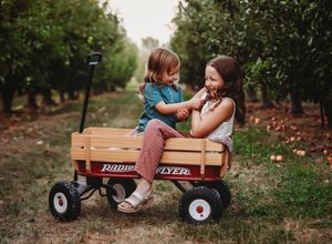 Two children sit together in a red Radio Flyer wagon surrounded by an orchard.
Best child's photographer