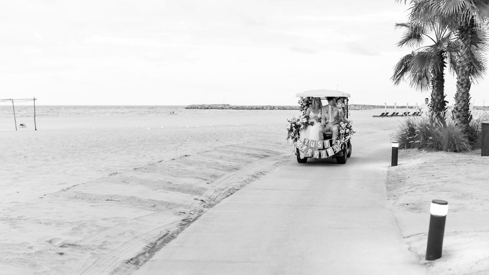 Black and white panoramic view of a beachfront road with palm trees and vehicles on a sunny day in Florida.