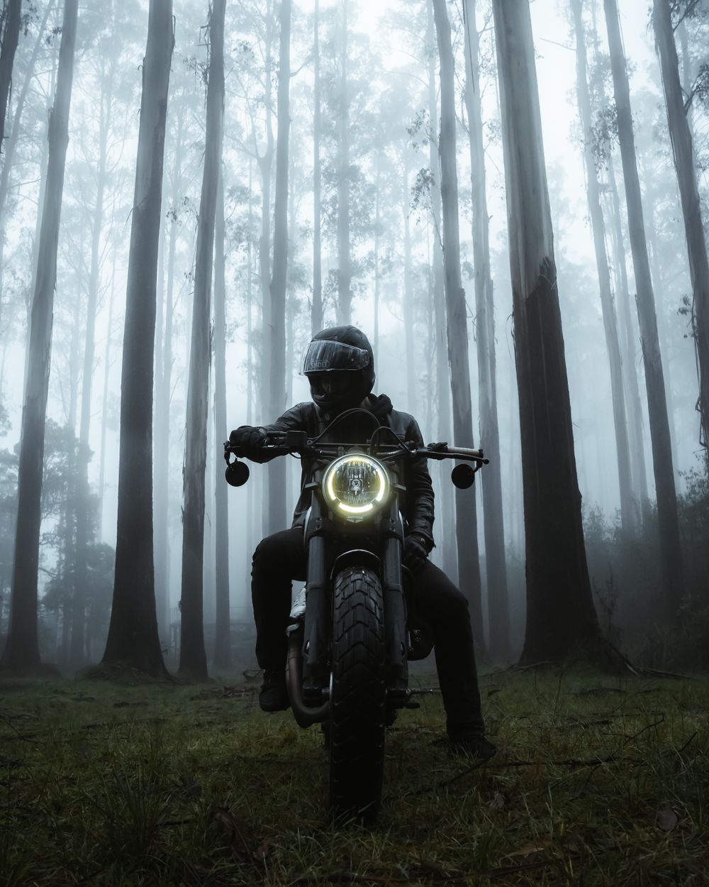 Moody forest scene with motorcycles silhouetted in foggy woods.