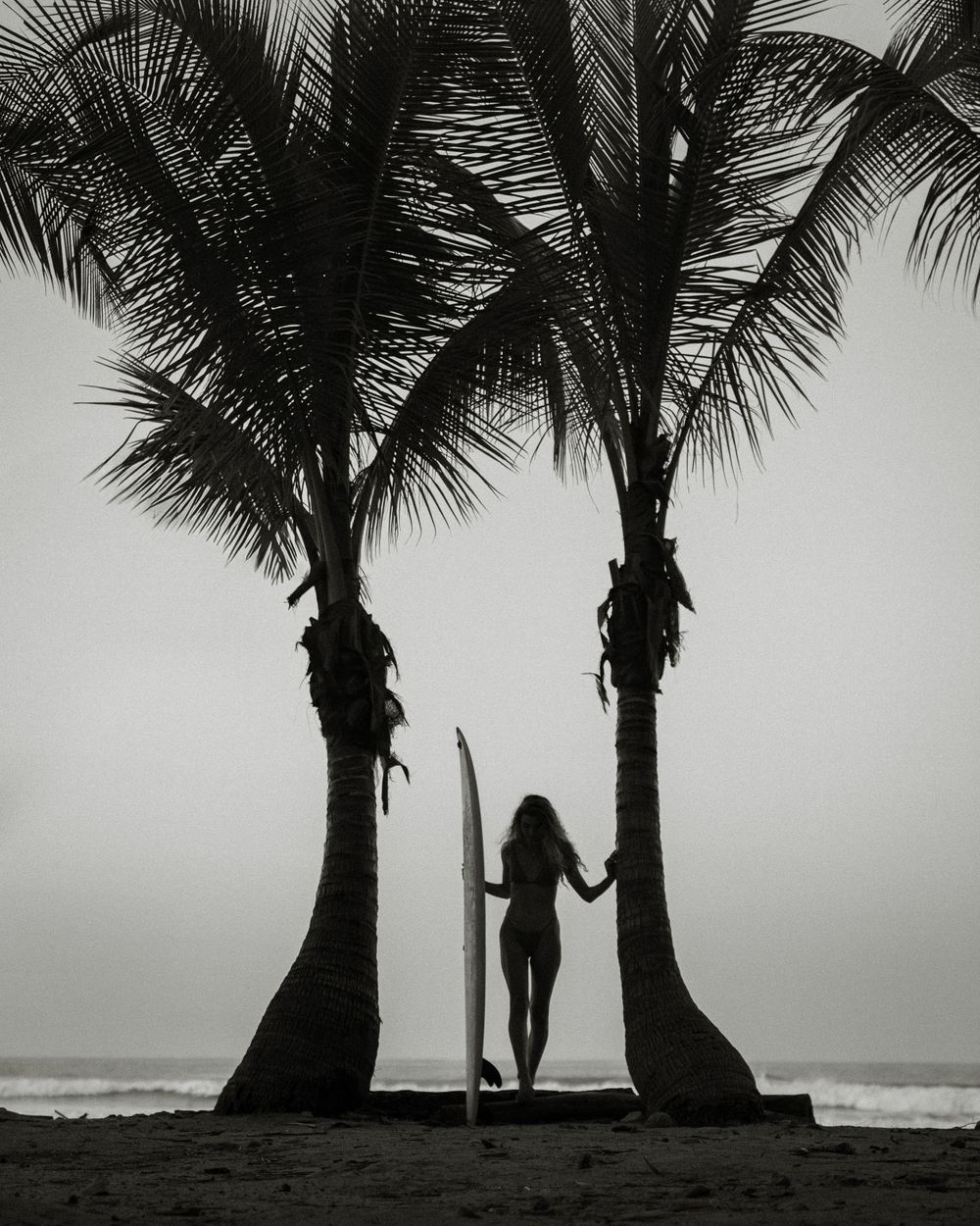 A silhouetted figure with a surfboard stands between two palm trees on a misty beach in black and white.