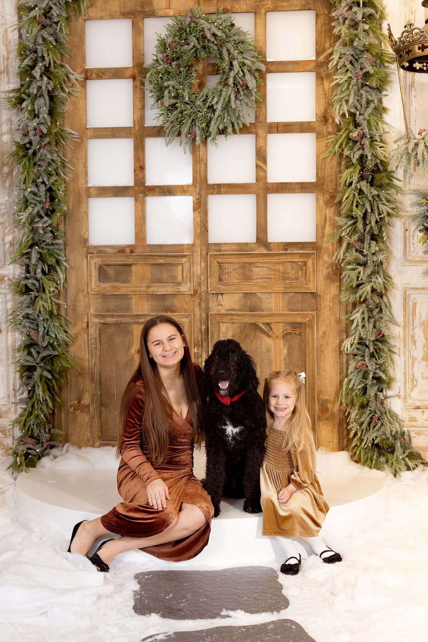 A festive winter portrait with a large black dog against a wooden door decorated with evergreen garlands and snow.
