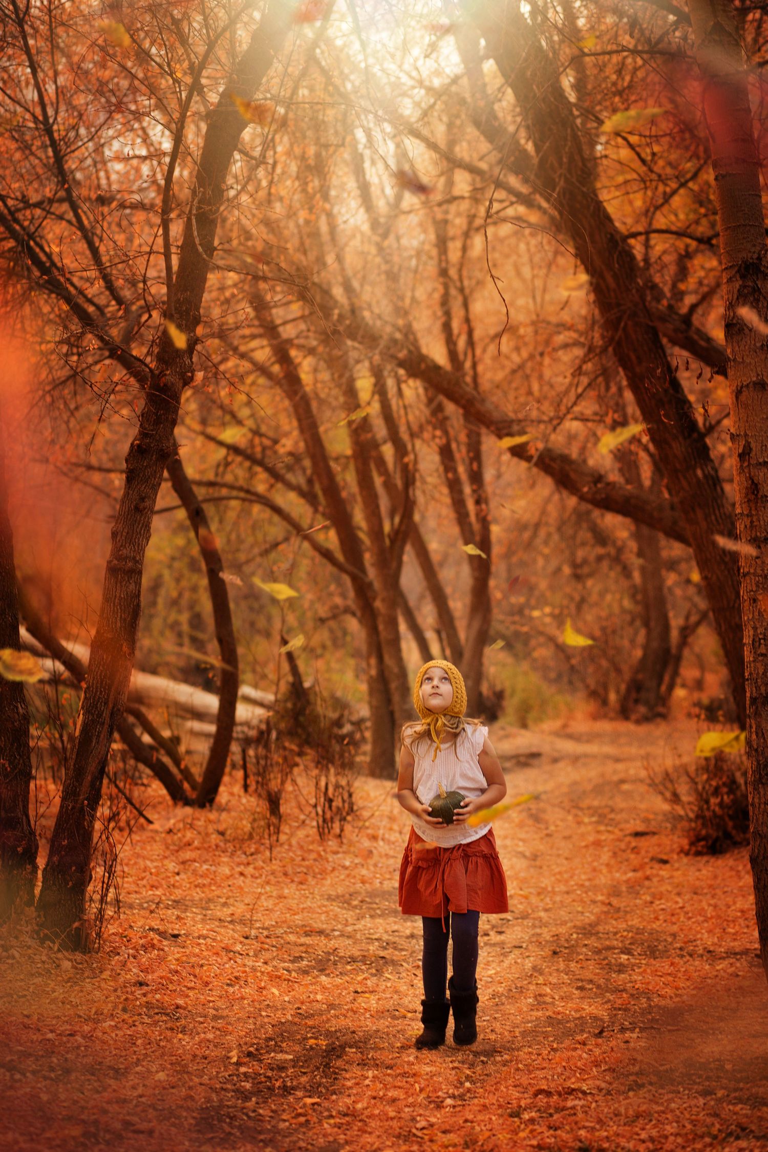 Big Springs Park Provo Canyon Utah fall colors cottagecore photography