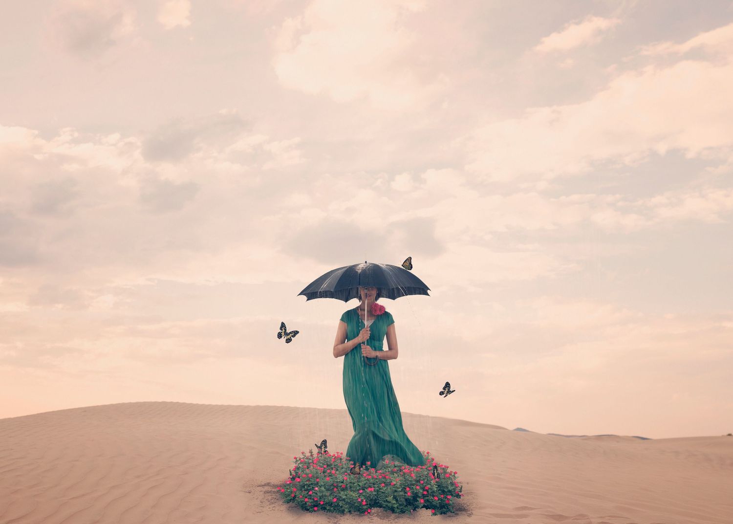fine art photography blooming in the desert Little Sahara Utah