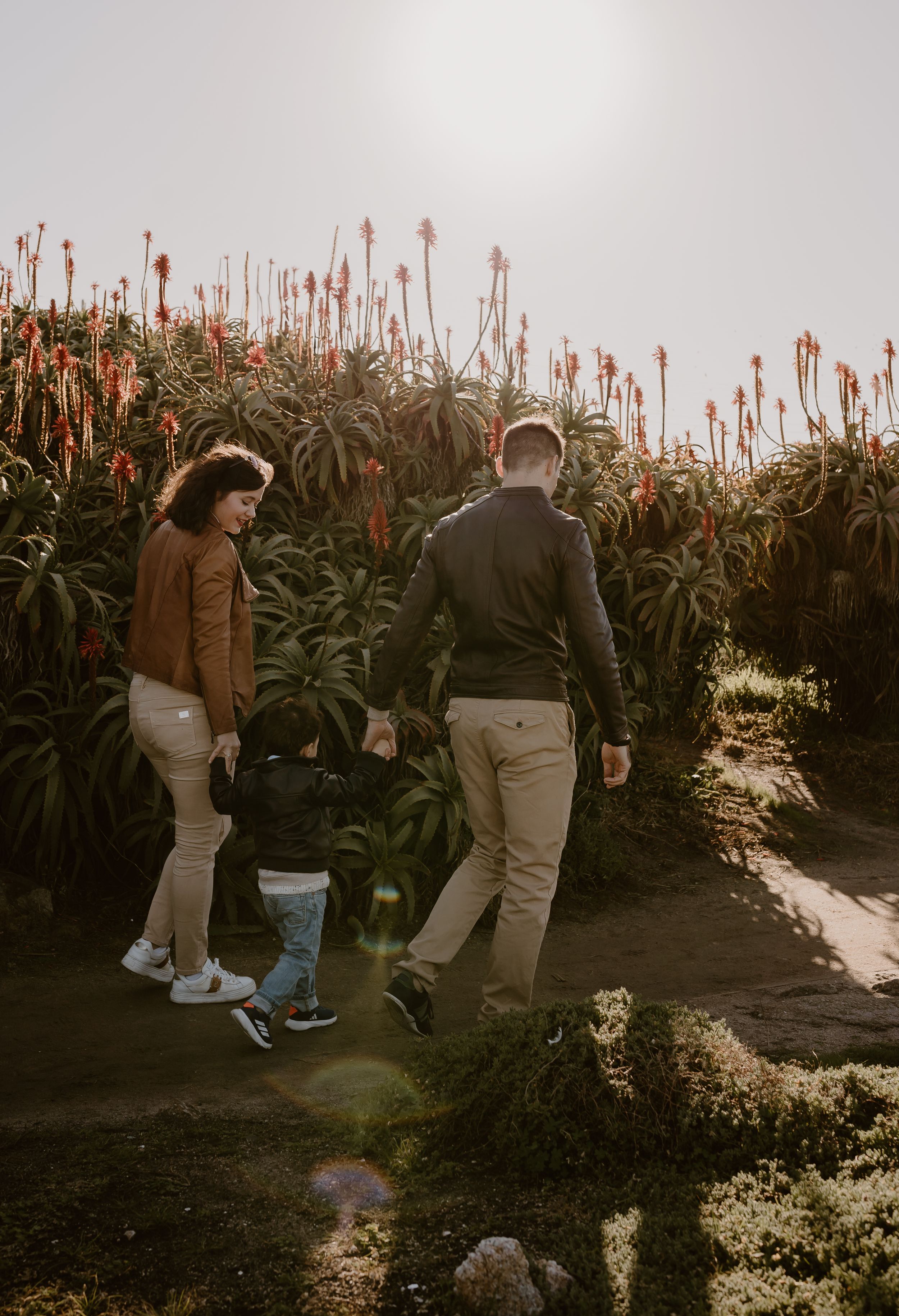 People walking together along a garden path lined with tall red flowering plants on a moody overcast day.