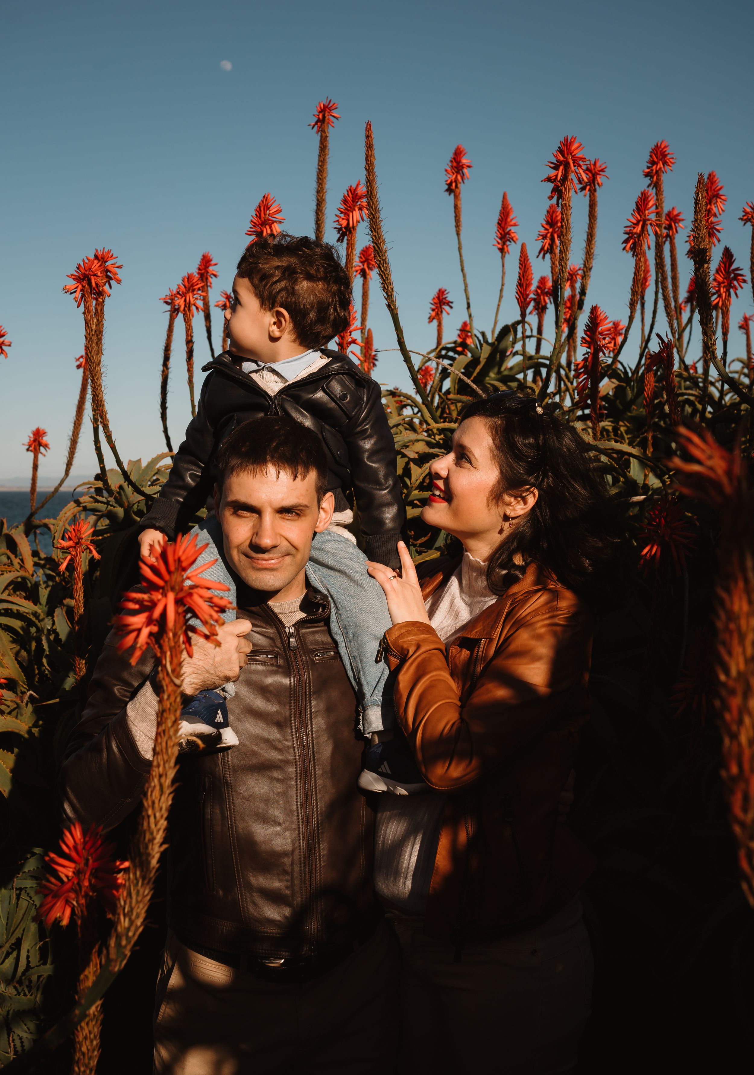 People enjoying a sunny day among tall red aloe vera flowers in bloom against a blue sky.