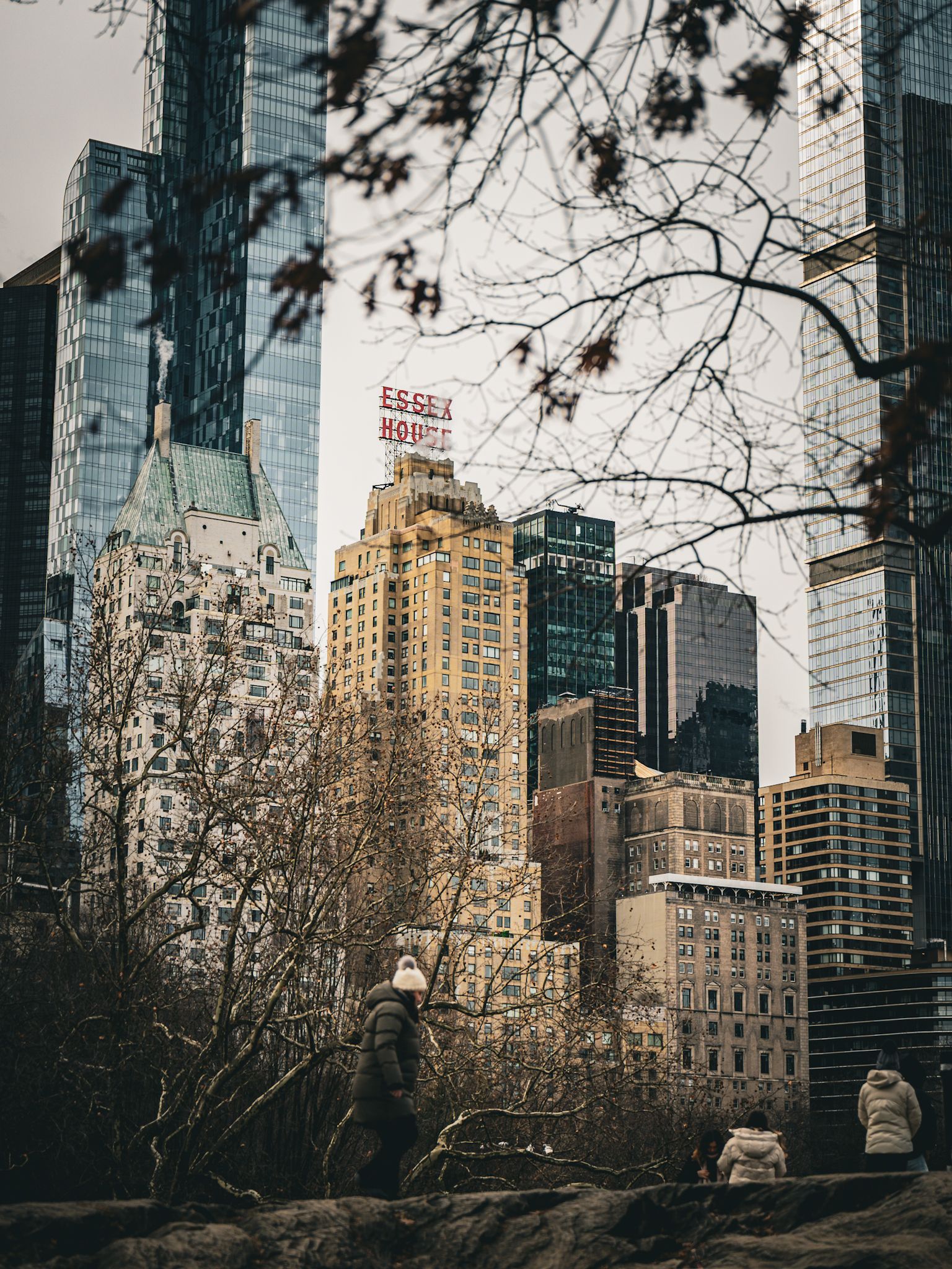Modern city skyline with tall skyscrapers and historic buildings viewed through bare winter tree branches.