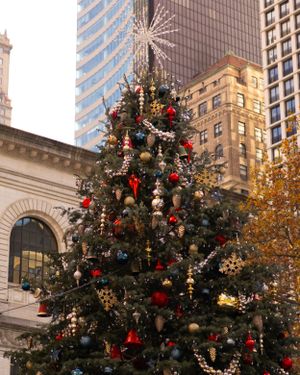 Large decorated Christmas tree with red ornaments stands between urban buildings.