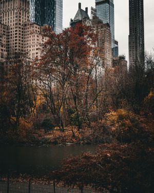 Autumn trees frame urban skyscrapers in a moody cityscape view.