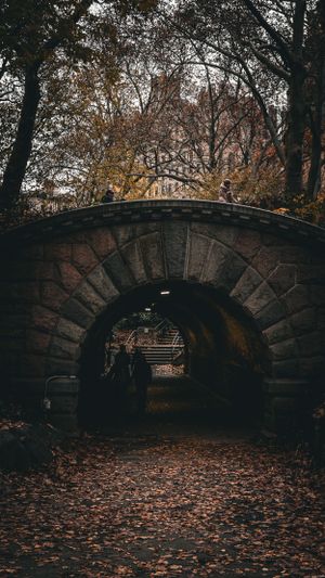 Stone bridge in Central Park covered in autumn leaves with dark moody lighting.
