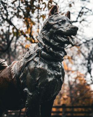 Close-up side view of the Balto dog statue in Central Park during autumn.
