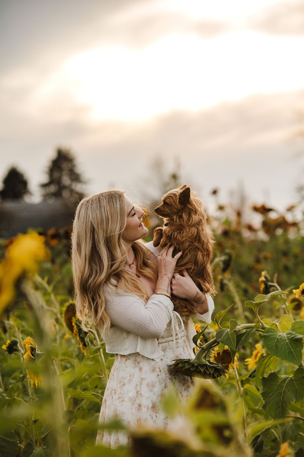 A blonde woman holds a small brown dog in a sunflower field at golden hour, sharing a sweet nose-to-nose moment.