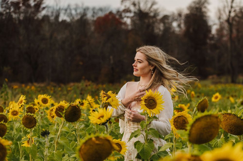 Woman in white dress standing in sunflower field with hair blowing in wind, surrounded by yellow blooms and autumn trees.
