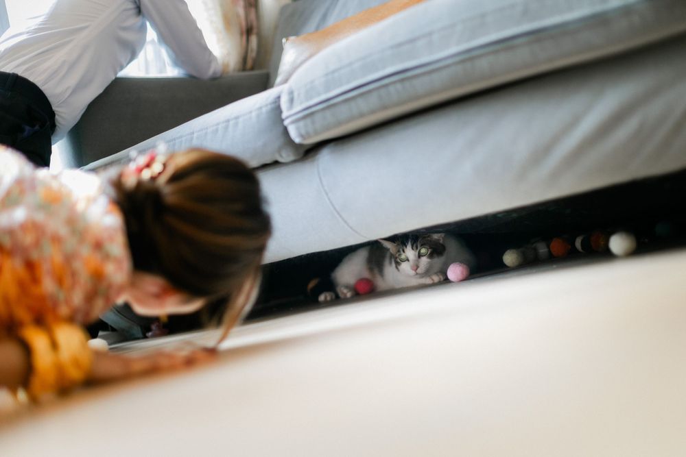 Person in floral dress peering under a sofa at a hiding cat.