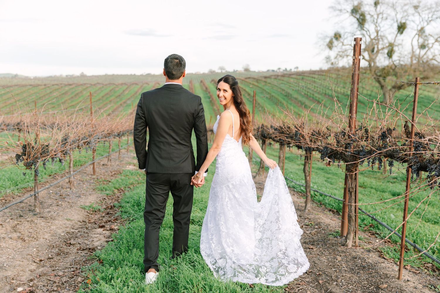 Couple walking through scenic vineyard rows on a sunny day with rolling hills in the background.