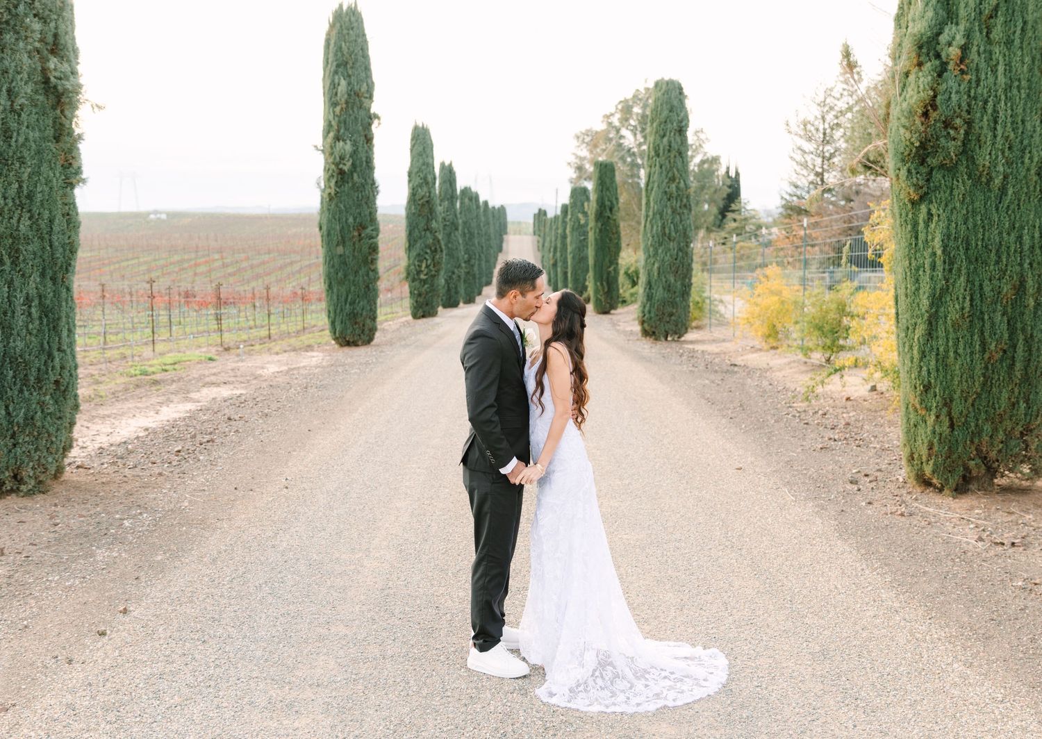 A romantic couple walks along a cypress tree-lined path in a vineyard setting on their wedding day.