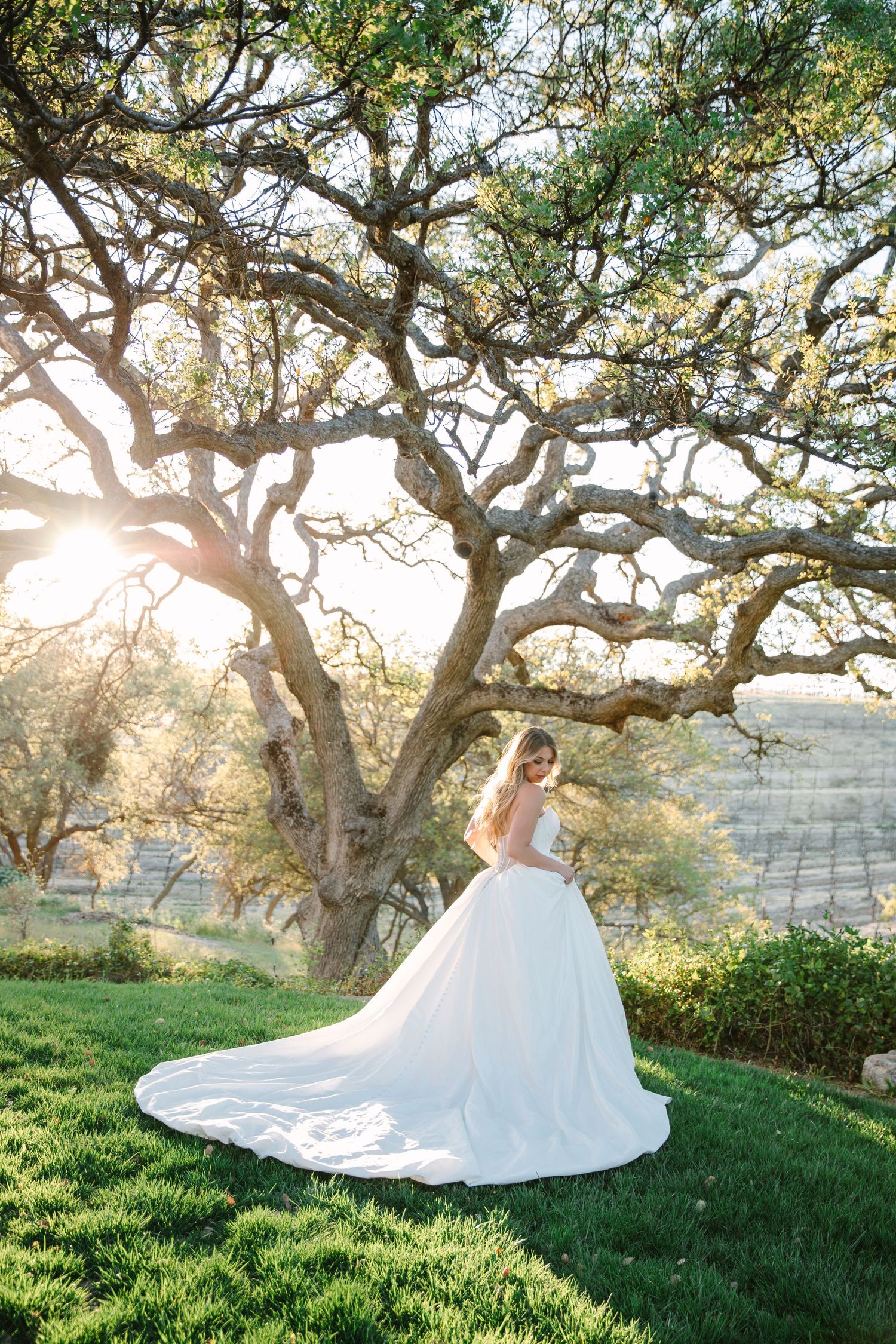 A flowing white wedding dress twirls gracefully beneath sunlit oak trees in a dreamy outdoor setting.