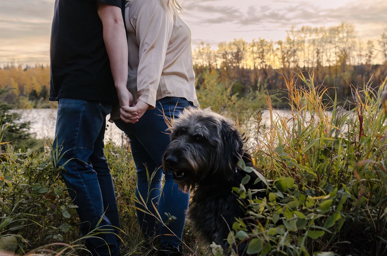 Couple stands with large black dog in field during sunset.