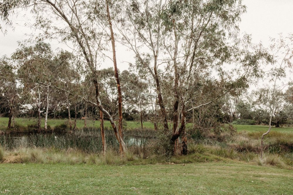 werribee photographer